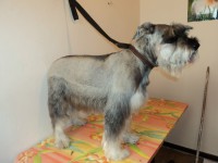 /album/fotos/de-todo-086-jpg/